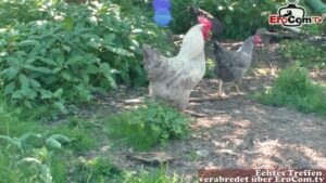 Deutsches Bauer Paar fickt auf dem Feld